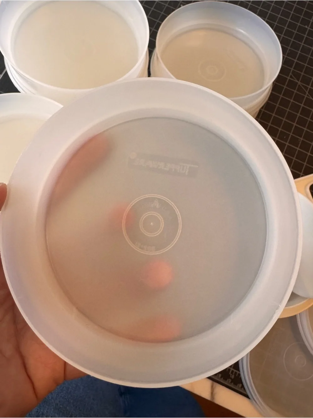 Vintage Tupperware Hamburger Press & Keeper Set